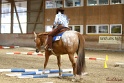 26-ApHC GT_179